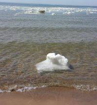 Ice floating in the ocean water.